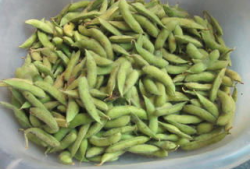 麻豆焖,传统美食的现代化演绎