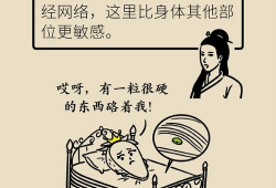 尿道 漫画,揭秘人体奥秘的趣味之旅