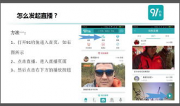 91直播公开,揭秘网络直播行业的崛起与挑战