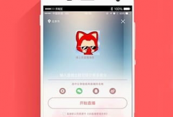 91直播99,揭秘热门直播平台的魅力与挑战
